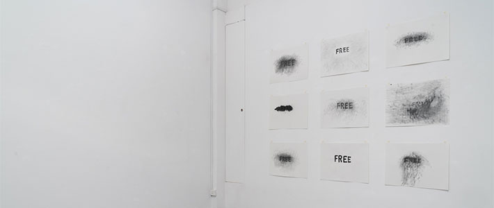 Jesse Meredith at the NeMe Arts Centre