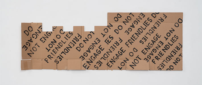 Jesse Meredith at NeMe Arts Centre