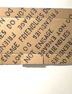 Jesse Meredith at NeMe Arts Centre