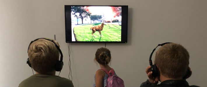 Through other eyes, Brent Watanabe