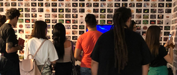 Lynn Hershman Leeson