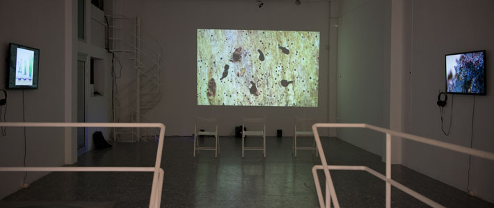 Eva Papamargariti, Precarious Inhabitants