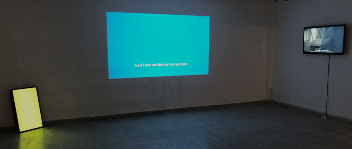 Hanna Husberg, Often people ask how birds are affected by the air