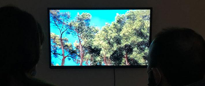 the forest - alexia achilleos