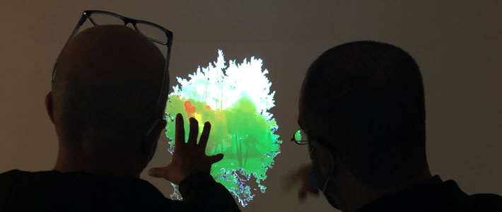 the forest - nicos synnos