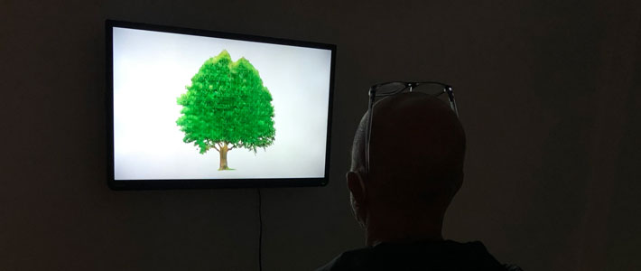 the forest - patrick lichty