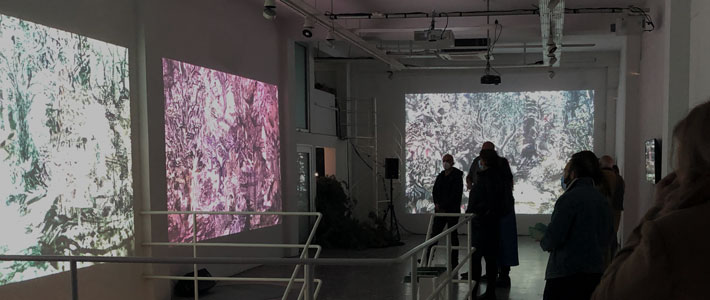 the forest - Nina Sumarac