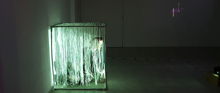 the forest - Xristos Panagiotou
