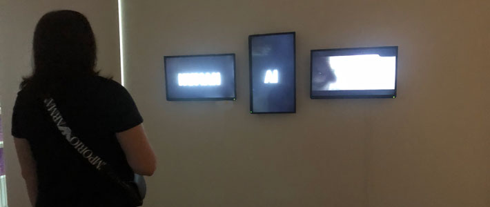 Marleine van der Werf