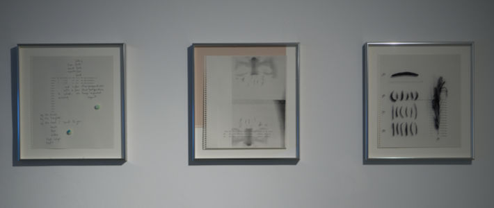 BiblioTech: Anna Barham