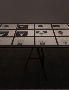 Other Intelligences, Other Natures: Anne-Mie Van Kerckhoven