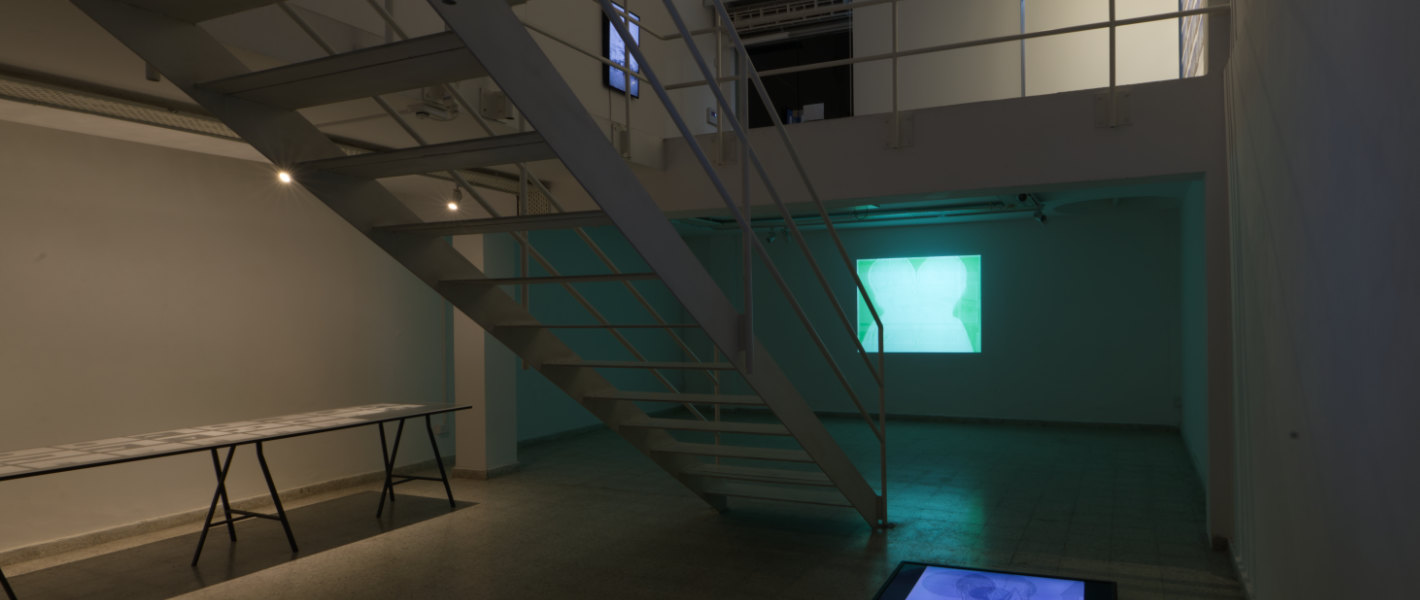 Other Intelligences, Other Natures: Anne-Mie Van Kerckhoven, Anna Ridler and Caroline Sinders