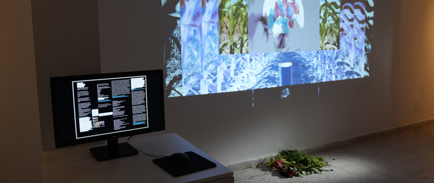 Designing Disobedience: Nina Sumarac