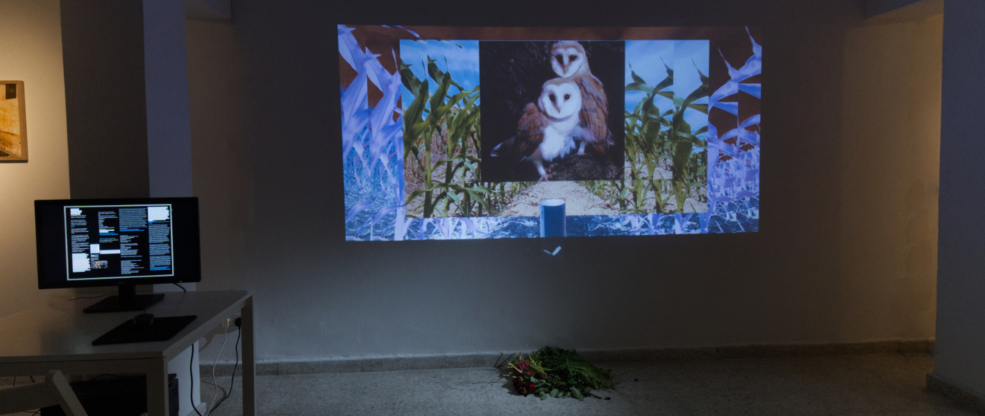 Designing Disobedience: Nina Sumarac