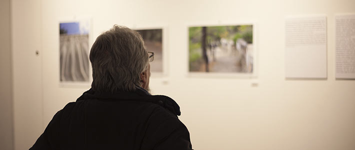 Iconoclastic Controversies