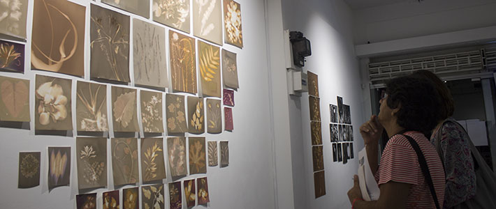 Solagrams workshops exhibited